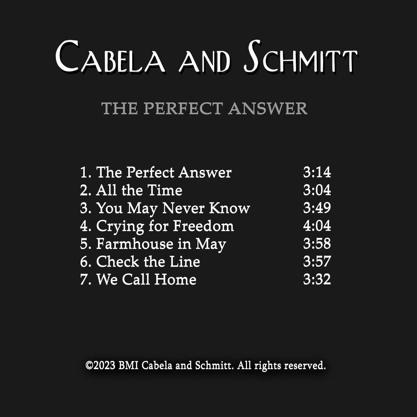 "The Perfect Answer" Audio CD